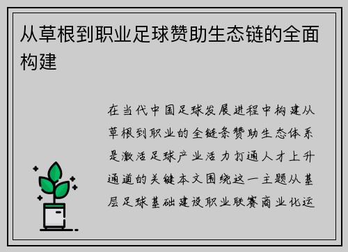 从草根到职业足球赞助生态链的全面构建
